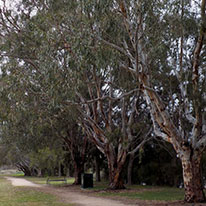 Lake Boort Reserve
