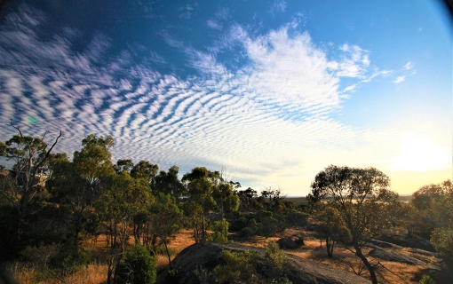 Best Things to do in Wedderburn